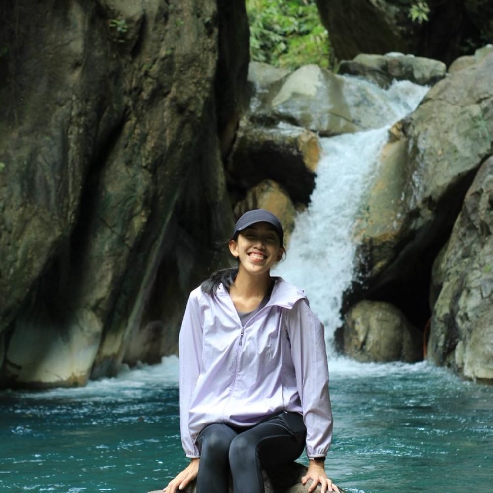 4e31d329-d768-433a-9159-cb420255d7de