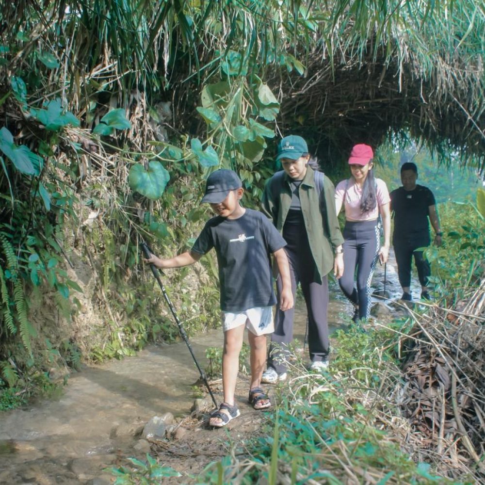 57cffc32-c2a3-43b1-bb65-2ce5b679f016