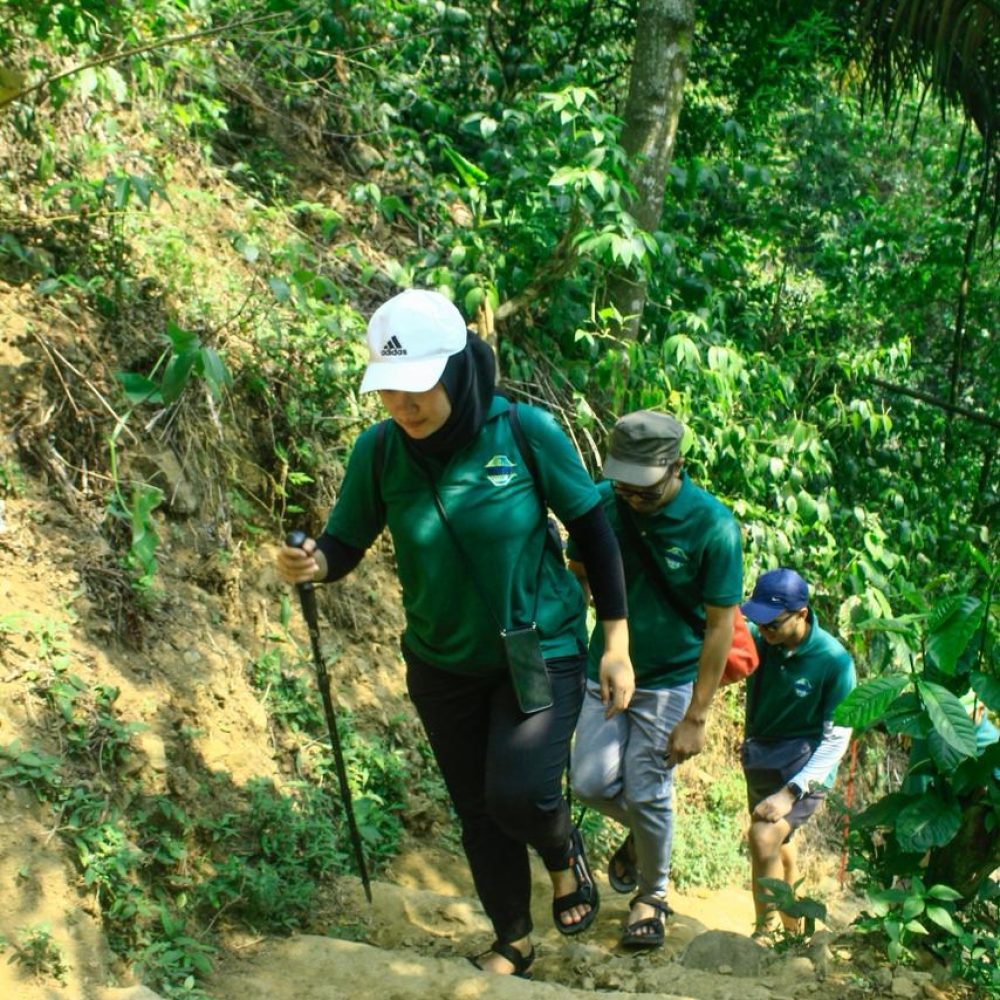 5e51f4ec-b2d1-4d85-a513-1fc380fc8cac