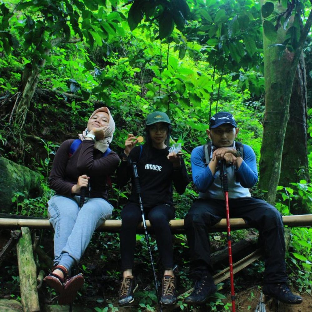 fa06a329-6373-4948-846a-4bb4731c99d3