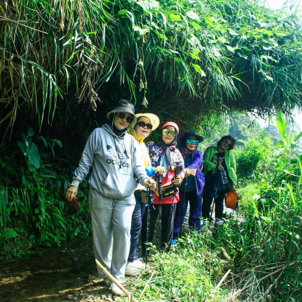 fcfcd2e1-a87a-431d-9855-78a01b1adb27